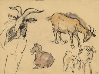 Archive 8Nov2001 Disk#2