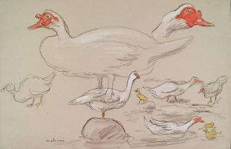 Archive 24May2001 Disk#1