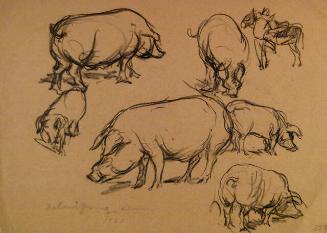 Archive 12June2001 Disk#1