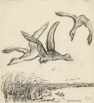 Archive 19Oct2001 Disk #1