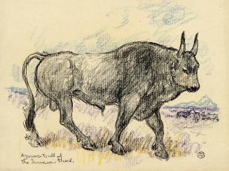 Archive 8Nov2001 Disk#1