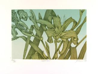 Archive 18June2001 Disk #1