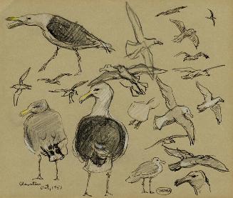 Archive 8Nov2001 Disk#1