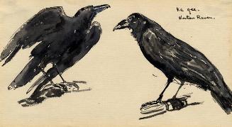 Archive 26Nov2001 Disk#1