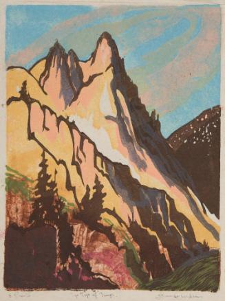 Archive Disk 20 November 2007