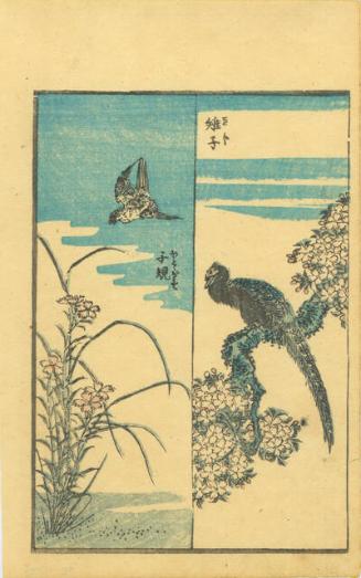 Archive 2May2000 Disk#1