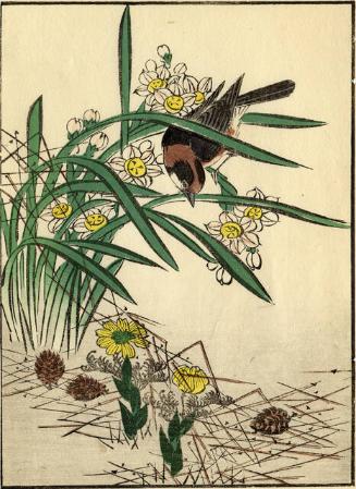 Archive 21June2001 Disk #1