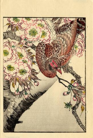 Archive 20June2001 Disk #1