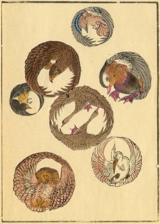 Archive 21June2001 Disk #1