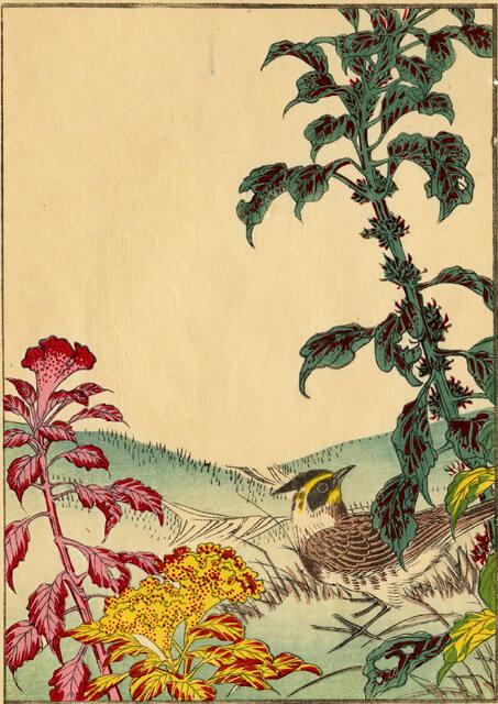 Archive 21June2001 Disk #1