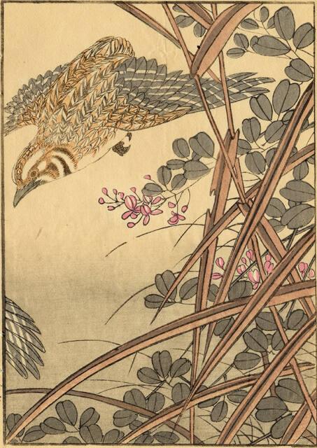 Archive 21June2001 Disk #1