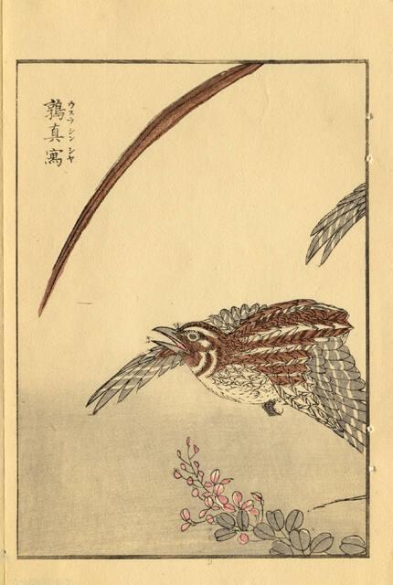 Archive 21June2001 Disk #1