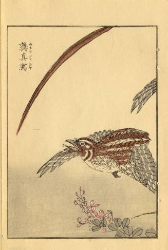 Archive 21June2001 Disk #1