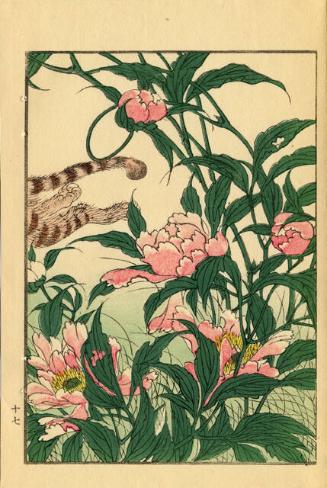 Archive 21June2001 Disk #1