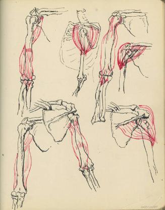 Archive 24August2000 Disk#2