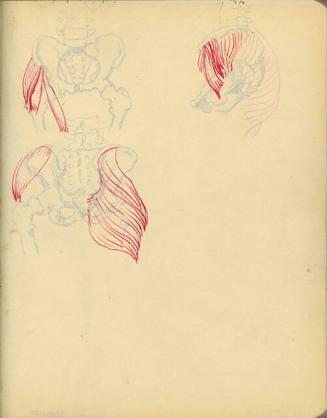 Archive 24August2000 Disk#2