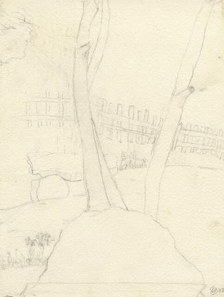 BARE TREES