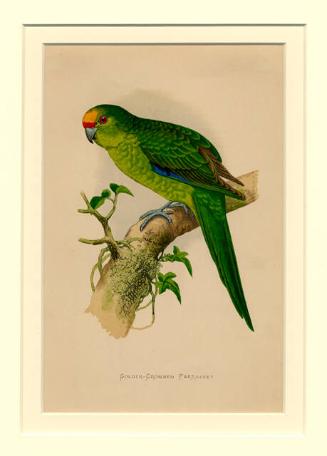 Archive 15Dec2000 Disk#1