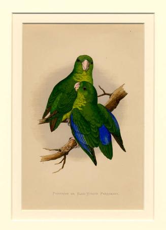 Archive 15Dec2000 Disk#1