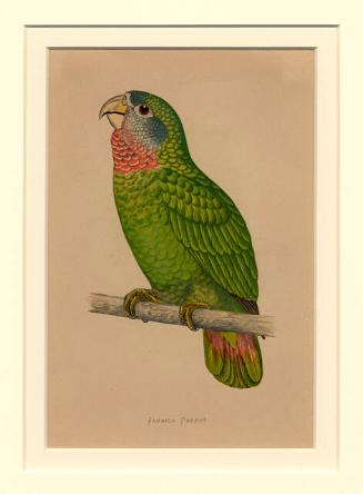 Archive 5April2002 Disk#1