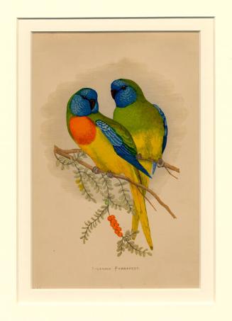 Archive 15Dec2000 Disk#1