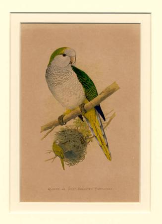 Archive 15Dec2000 Disk#1