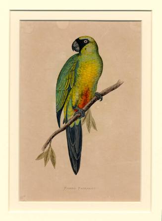 Archive 15Dec2000 Disk#1