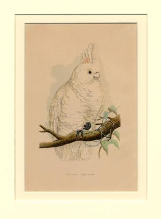 Archive 15Dec2000 Disk#1