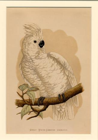 Archive 1May2002 Disk#1