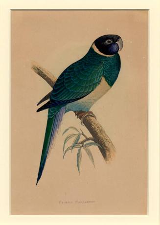 Archive 1May2002 Disk#1