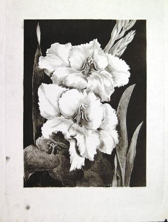 Archive 24May2001 Disk#4