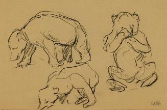 Archive 1November2001 Disk#1