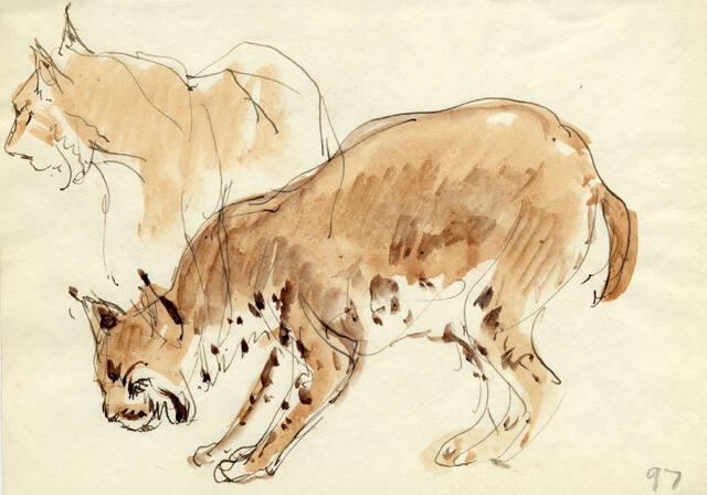 Archive 26Nov2001 Disk#1