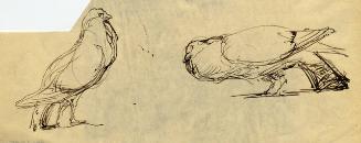 Archive 19April2002 Disk#1