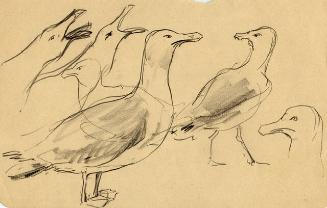 Archive 8Nov2001 Disk#2