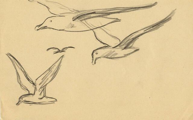 Archive 1November2001 Disk#1