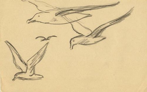 Archive 1November2001 Disk#1