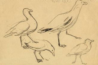 Archive 8Nov2001 Disk#2