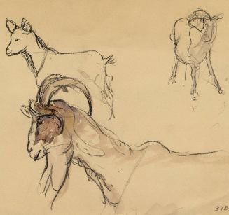 Archive 8Nov2001 Disk#2