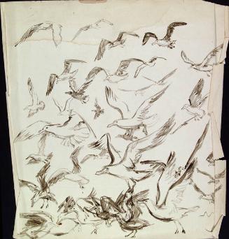 Archive 6Mar2001 Disk#1