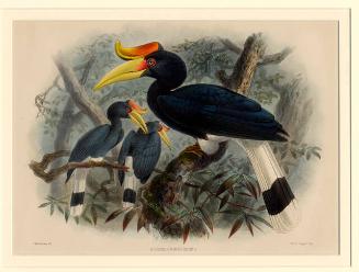 Archive 1May2002 Disk#1