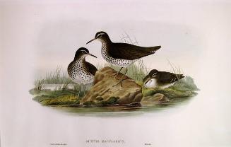 Archive 24May2001 Disk#4