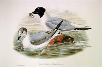 Archive 24May2001 Disk#4