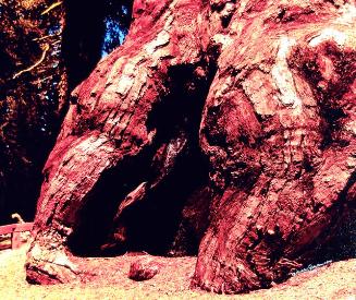 Archive 15Mar2002 Disk #1