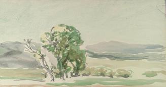 Archive 9August2001 Disk#2