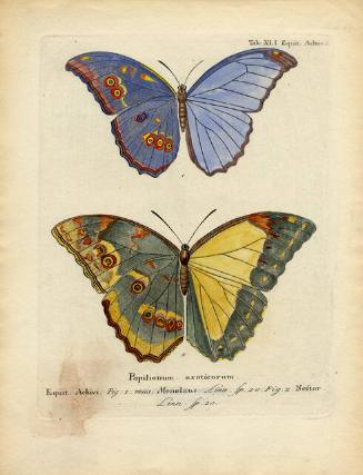 Archive 23Jan2002 Disk#1