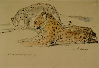 Archive 20Dec2001 Disk#1