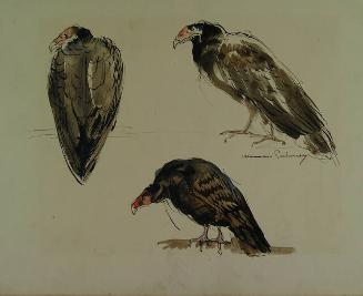 Archive 18September2001 Disk#1