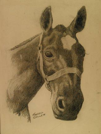 Archive 14August2001 Disk #1