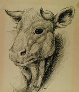 Archive 14August2001 Disk #1